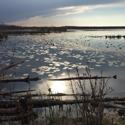 Matchedash Bay Provincial Wildlife Area
